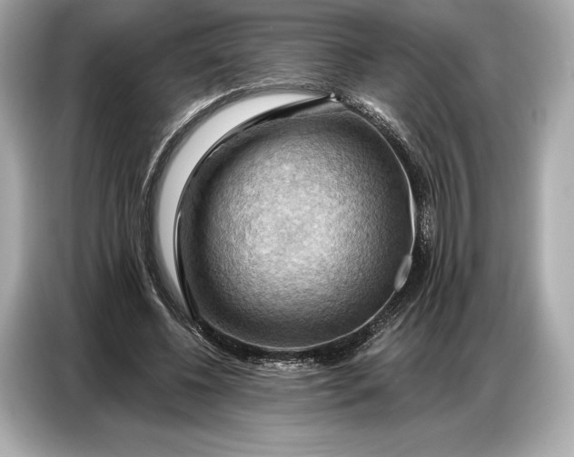 X0000086880540200704300939