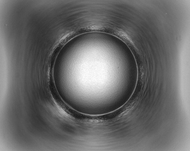 X0000086880542200704300939