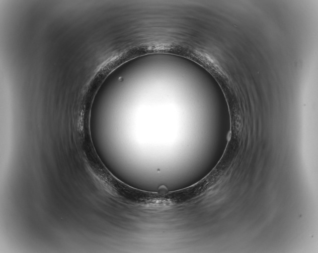 X0000086880543200704300939