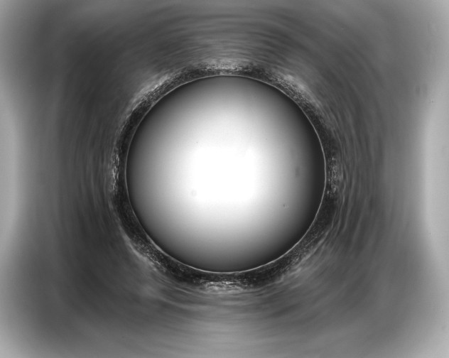 X0000086880544200704300939