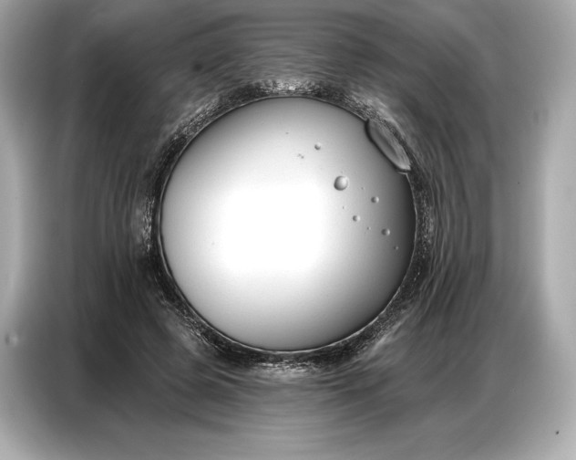 X0000086880545200704300939