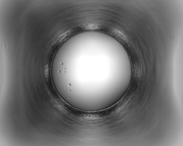 X0000086880549200704300939