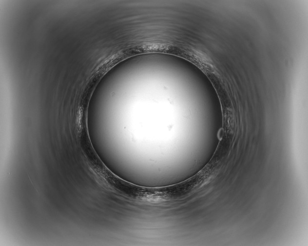 X0000086880550200704300939