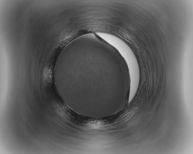 X0000086880551200704300939