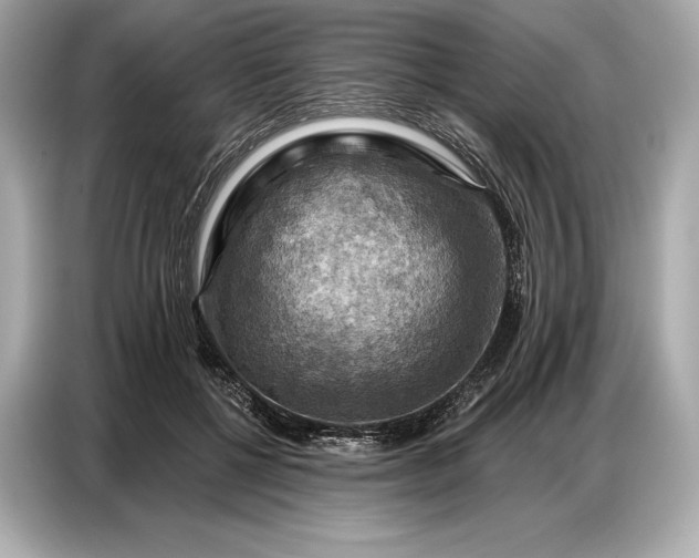 X0000086880552200704300939