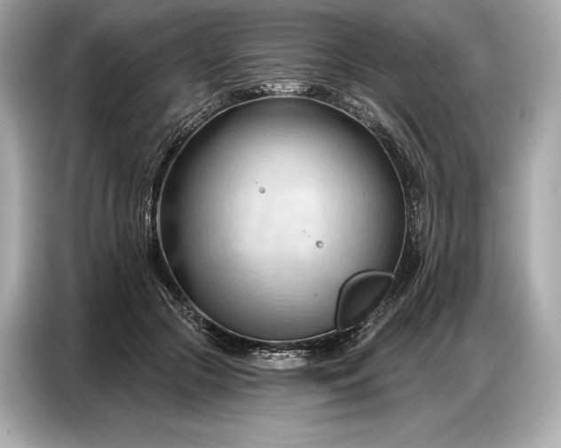 X0000086880553200704300939