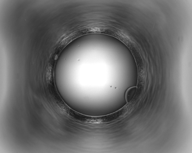 X0000086880554200704300939