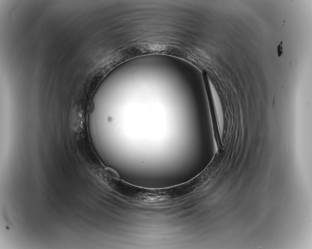 X0000086880555200704300939