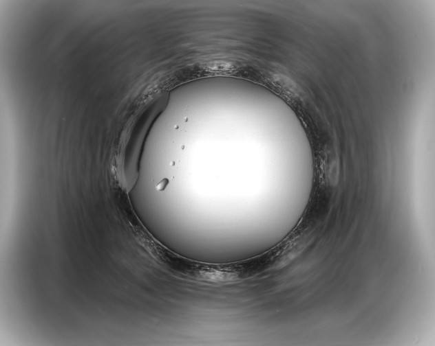 X0000086880561200704300939