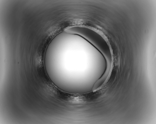 X0000086880564200704300939