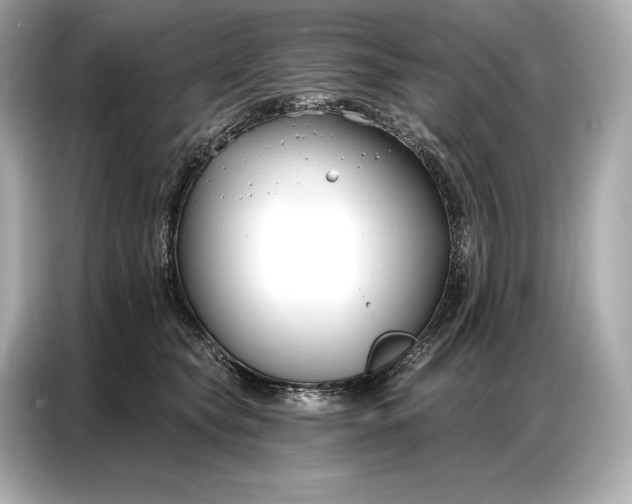 X0000086880565200704300939