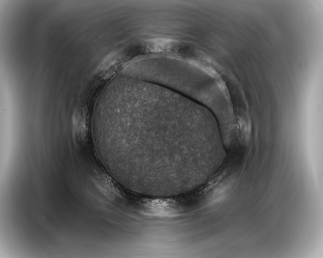 X0000086880566200704300939