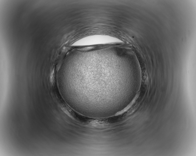 X0000086880568200704300939