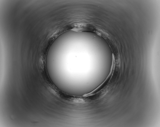 X0000086880572200704300939