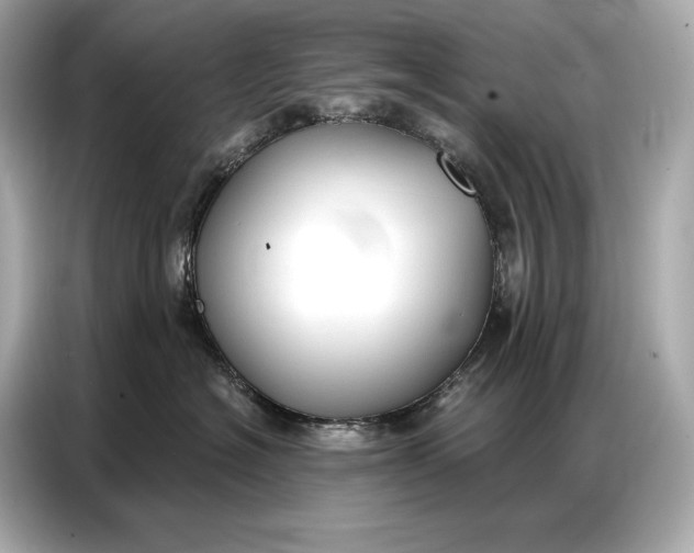 X0000086880574200704300939