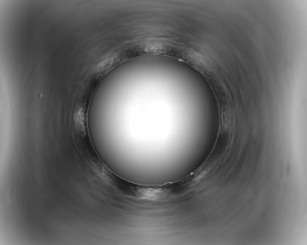 X0000086880575200704300939