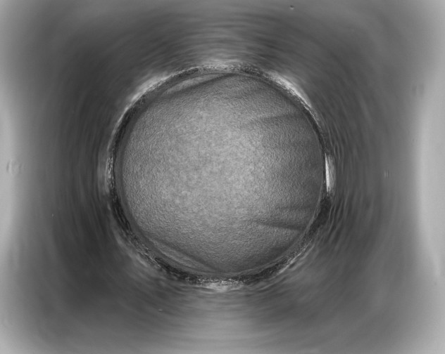 X0000086880579200704300938