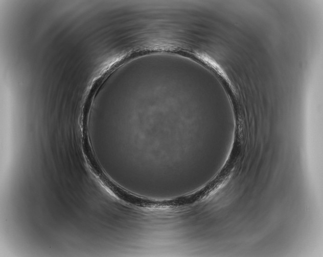 X0000086880581200704300938