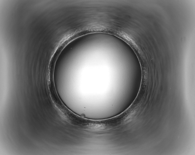 X0000086880582200704300938