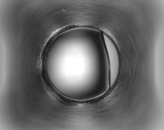 X0000086880584200704300938