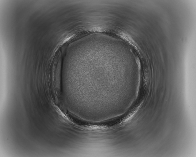 X0000086880585200704300938