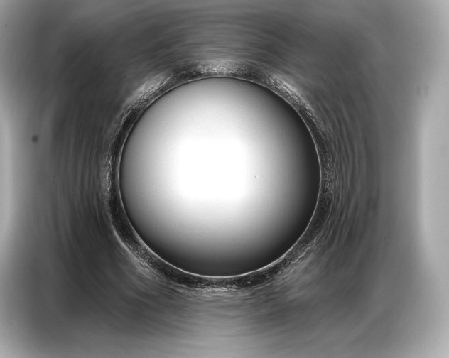 X0000086880586200704300938