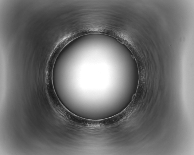 X0000086880587200704300938