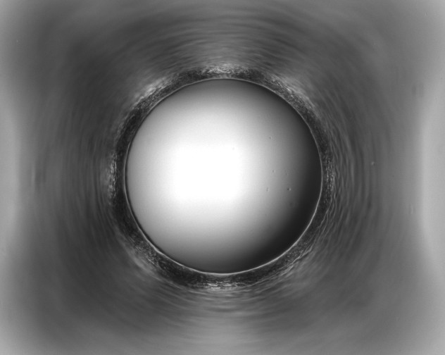 X0000086880591200704300938