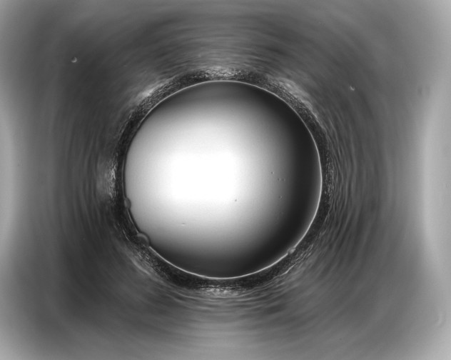 X0000086880596200704300938