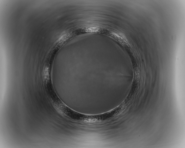 X0000086880598200704300938