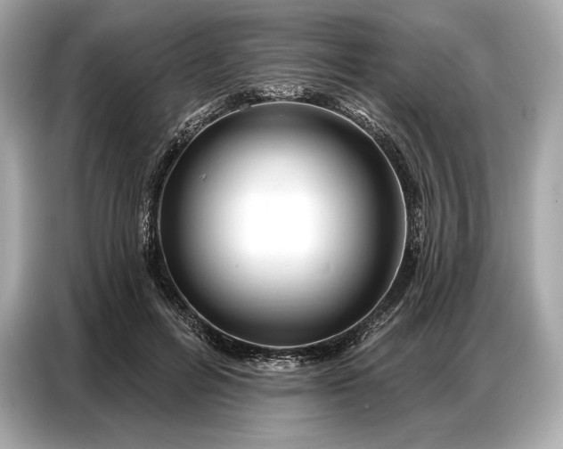 X0000086880600200704300938