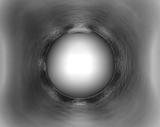 X0000086880601200704300938