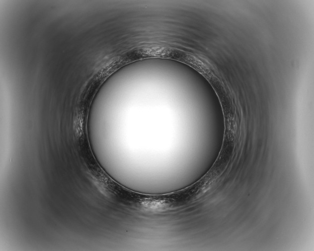 X0000086880602200704300938