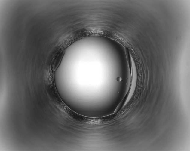 X0000086880609200704300938