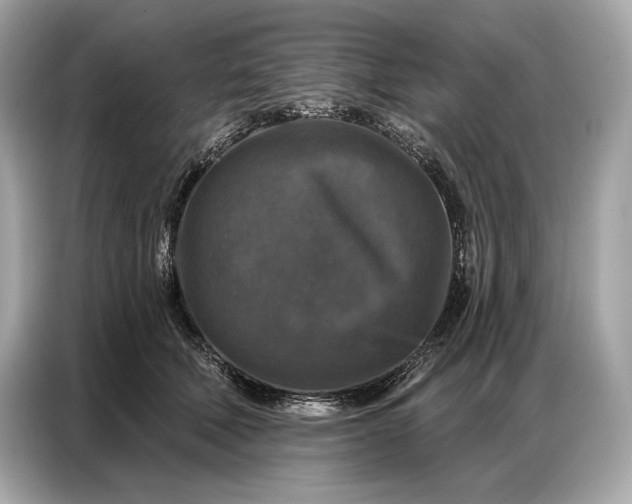 X0000086880610200704300938