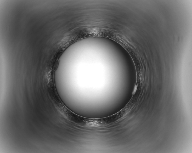 X0000086880611200704300938