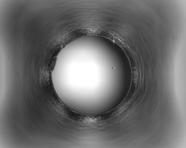 X0000086880613200704300938