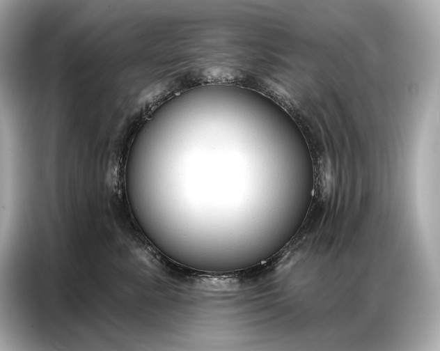 X0000086880619200704300938