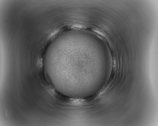 X0000086880621200704300938