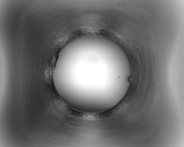 X0000086880624200704300938