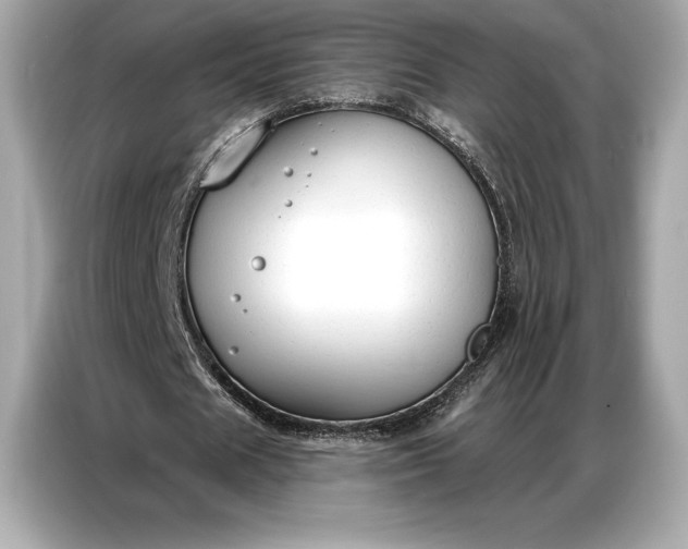 X0000086880625200704300937