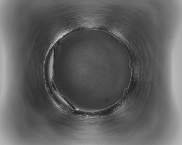 X0000086880626200704300937