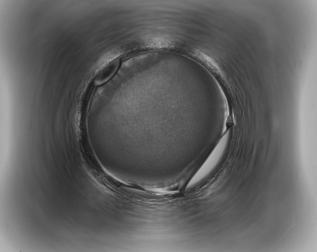 X0000086880627200704300937