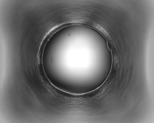 X0000086880628200704300937