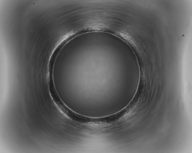 X0000086880630200704300937