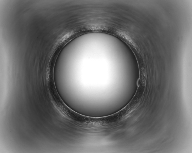 X0000086880631200704300937