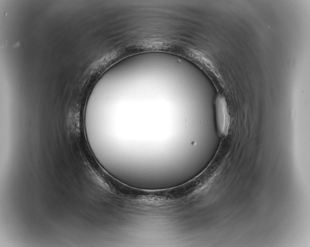 X0000086880633200704300937