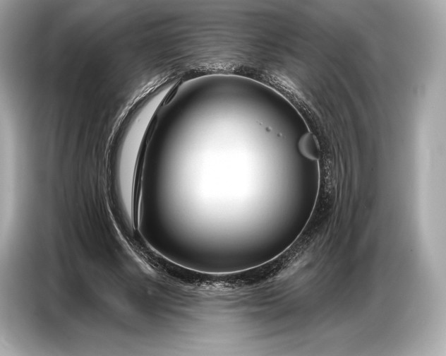 X0000086880634200704300937