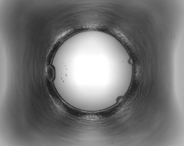 X0000086880636200704300937