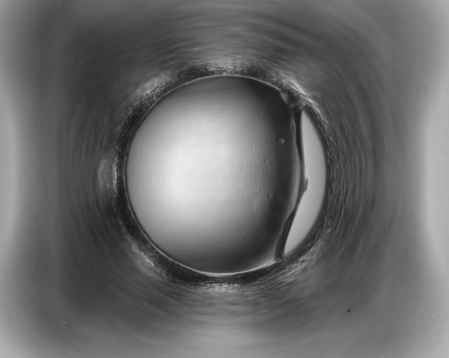 X0000086880637200704300937